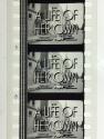 A Life of Her Own