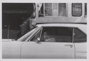 The Automobile (section 2 of three from the series: "In the Garden")