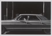 The Automobile (section two of three from the series: "In the Garden")