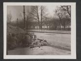 [Battle for Frankfurt.. 3rd US Army Infantrymen keep a sharp watch for Enemy snipers along the road adjoining the river main, Frankfurt, Germany.  5th Inf Div., TUSA, Frankfurt, Germany.]