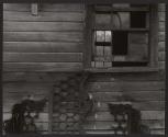 Gratwick Estate, Linwood, NY