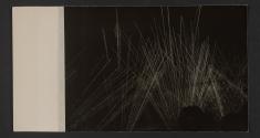 [World War II, views made by a military photographer attached to the US 5th Infanrty Division in France, Luxemburg, and Germany.]