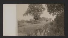 [World War II, views made by a military photographer attached to the US 5th Infanrty Division in France, Luxemburg, and Germany.]