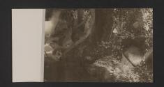 [World War II, views made by a military photographer attached to the US 5th Infanrty Division in France, Luxemburg, and Germany.]