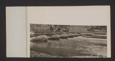 [World War II, views made by a military photographer attached to the US 5th Infanrty Division in France, Luxemburg, and Germany.]