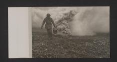 [World War II, views made by a military photographer attached to the US 5th Infanrty Division in France, Luxemburg, and Germany.]