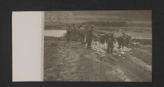 [World War II, views made by a military photographer attached to the US 5th Infanrty Division in France, Luxemburg, and Germany.]