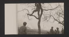 [World War II, views made by a military photographer attached to the US 5th Infanrty Division in France, Luxemburg, and Germany.]