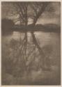 [Tree reflection in water]