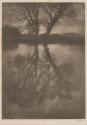 [Tree with reflections in water]