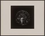 [Fireworks display]