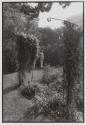Jardin des Plantes