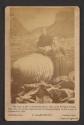[Mr. G. Hazlett and Miss S. Allen standing next to a barrel at the base of the Niagara River rapids]