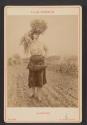 Reproduction of Glaneuse (the gleaner) by Jules Breton.