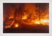 Untitled (California Wildfires)