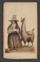 [Reproduction of La Chola de la Sierra by A. A. Bonnaffé]