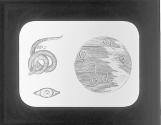 Trichina Spiralis