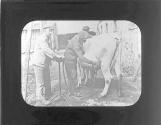 Dairy Industry Wisconsin-Minnesota