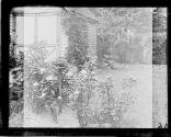 [Untitled]