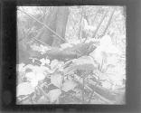 [Untitled]