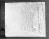 Goodman St