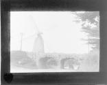 [Untitled]