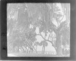 [Untitled]