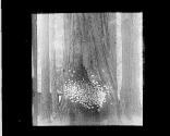 [Untitled]