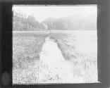 Irondiquoit Creek