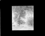 [Untitled]