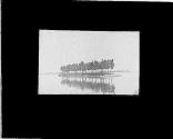 56 Tree is Lake Winnebago Oshkosh