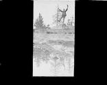 [Untitled]