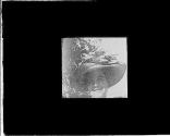 [Untitled]