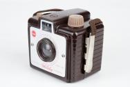 Brownie Holiday