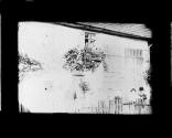 [Untitled]