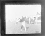 [Untitled]