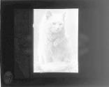 [Untitled]