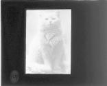 [Untitled]