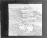 [Untitled]