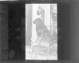 [Untitled]