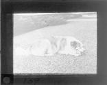 [Untitled]