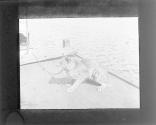 [Untitled]