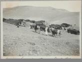 Bedouin Encampment near Dead Sea