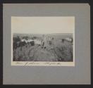 Plain of Sharon, Shepards