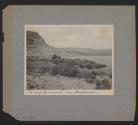 Land of Genneseret near Capernaum