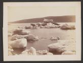 [Ice in Henley Harbor, Labrador]