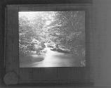 A Trout Stream