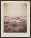 [Drift ice off the coast of Labrador]
