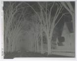 East Ave., Rochester, N.Y.