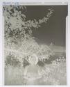 Li Su Fong, Black Mountain College